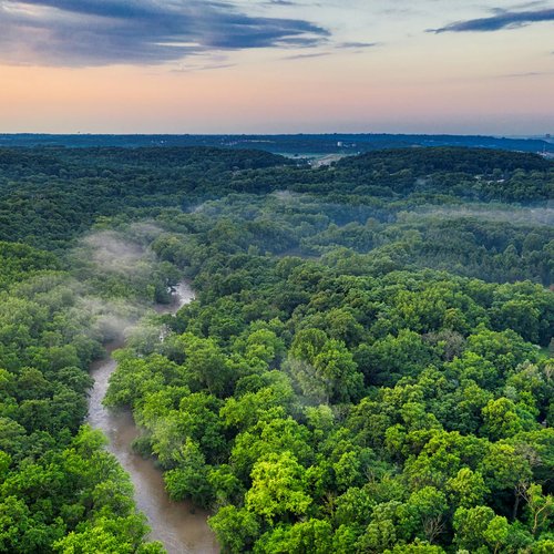 Amazon forest pexels-tomfisk-2739664