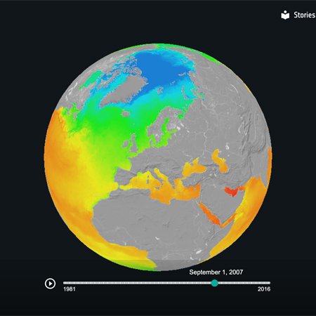 CfS_Sea Surface Temperature_example dataset.jpg
