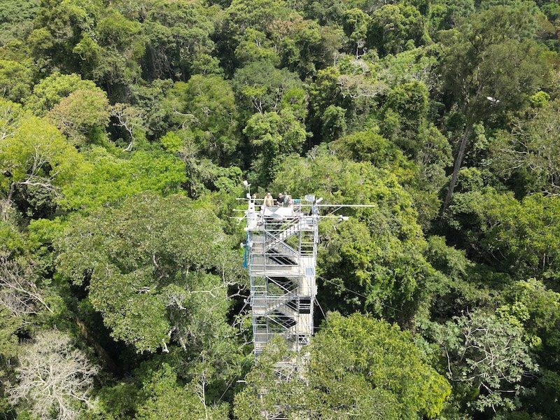 In-situ sensing at primary forest site LBA Tapajos KM67