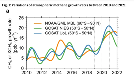 Variations of atmospheric methane growth rates between 2010 and 2021